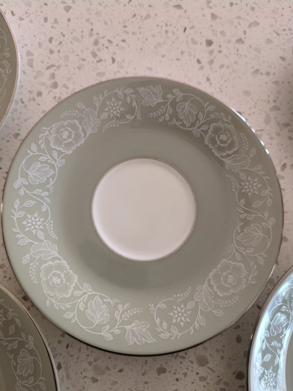 1968 Royal Worcester Made In England Elegant Sage Green Floral Saucer - Set of 7